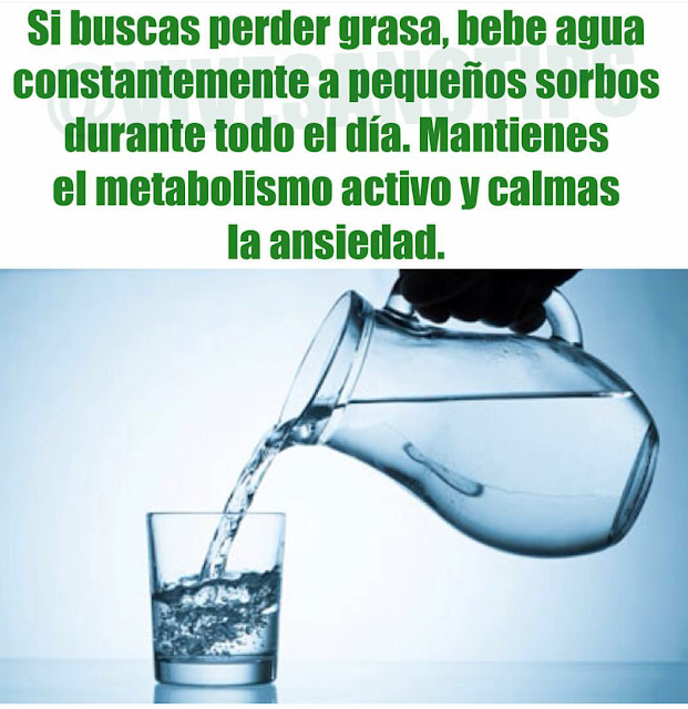 ¿Quieres quemar grasa? Toma agua