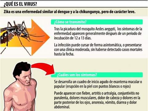 ¿Qué es el virus Zyka?