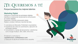Buscamos una persona para Marketing Digital. VACANTE