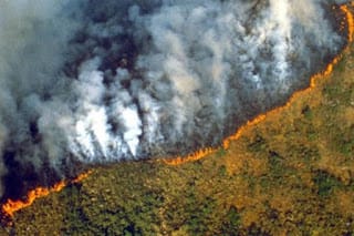 El pulmón de la Tierra - La Amazonia 5