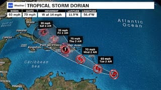 UASD activa protocolo de emergencia ante posible paso de tormenta Dorian