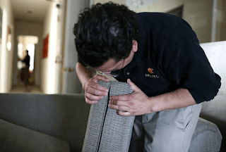 Cómo saber si tienes chinches: 7 señales