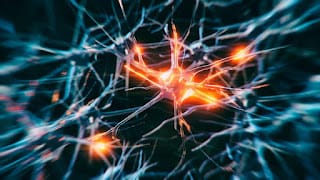 ¿Es cierto que solo usamos el 10% de nuestro cerebro? 5