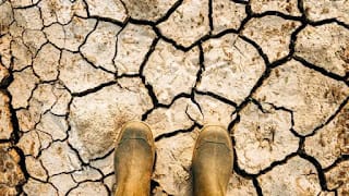 ¿Por qué la OTAN teme al cambio climático? 5