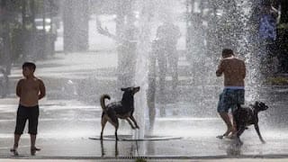 La Organización Meteorológica Mundial advierte de que la actual ola de calor "es un anticipo del futuro" 5