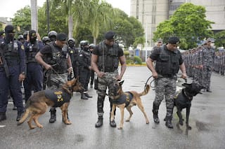 Gobierno lanza militares a las calles para frenar la delincuencia 5