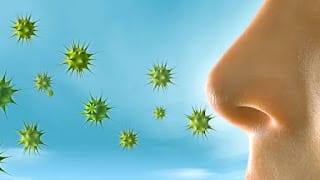 Más del 30% de la población mundial sufre algún tipo de alergia