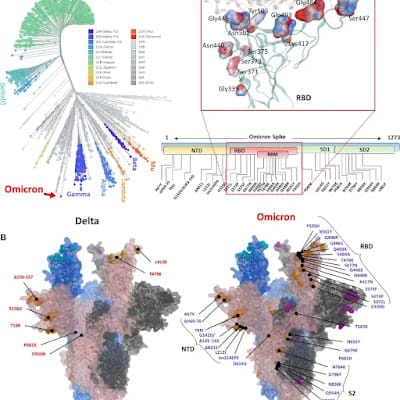 De COVID-19 a COVID-22: ¿el coronavirus cambió tanto que ya no es el mismo?