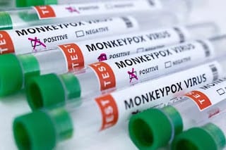 4 claves para entender por qué la viruela del mono ya es una emergencia internacional 8 4 claves para entender por qué la viruela del mono ya es una emergencia internacional