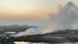 Esta es la razón por la que el cambio climático podría aumentar la tasa de mortalidad un 60%