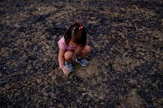 Esta es la razón por la que el cambio climático podría aumentar la tasa de mortalidad un 60%