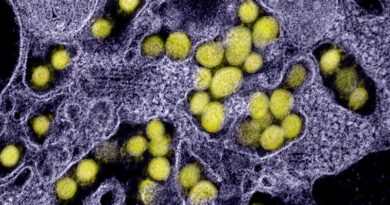 Disease detectives track an invisible virus