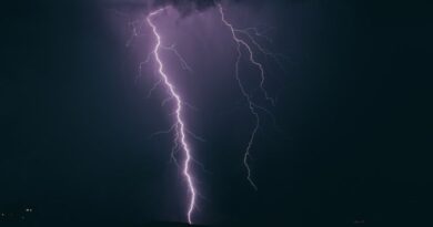 Corporations and Abortion: A Perfect Storm of Controversy