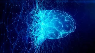 Las 10 claves para prevenir el Alzheimer, una enfermedad que padecen casi 50 millones de personas 5