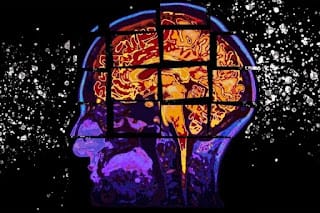 Las 10 claves para prevenir el Alzheimer, una enfermedad que padecen casi 50 millones de personas 7 Las 10 claves para prevenir el Alzheimer, una enfermedad que padecen casi 50 millones de personas