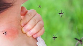 Suben los casos de dengue a nivel nacional 5