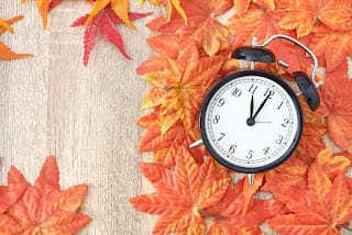 Hoy inicia el otoño; conoce sus peculiaridades 7 Hoy inicia el otoño; conoce sus peculiaridades