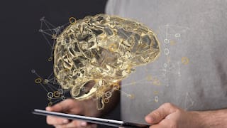 ¿Nuestros cerebros funcionan como computadoras cuánticas? 9 ¿Nuestros cerebros funcionan como computadoras cuánticas?