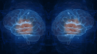 ¿Nuestros cerebros funcionan como computadoras cuánticas? 3 ¿Nuestros cerebros funcionan como computadoras cuánticas?