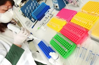 Por qué la obesidad es el factor de riesgo más preocupante ante el COVID-19 3 Por qué la obesidad es el factor de riesgo más preocupante ante el COVID-19