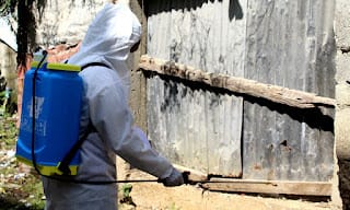 Las enfermedades tropicales abundan en la República Dominicana 5