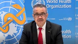 OMS pide elevar la salud al "máximo nivel" de las prioridades globales