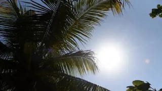 Onamet: Cielo mayormente soleado con algunos chubascos para la tarde 5