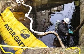 Peligroso químico ha matado miles de peces y animales en Ohio