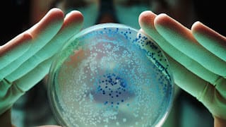 La OMS advierte de una "pandemia silenciosa" causada por bacterias resistentes a los antibióticos 5