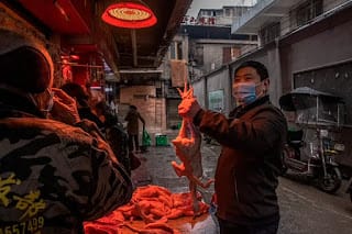El inicio de la pandemia otra vez en el debate: ¿qué dicen los nuevos datos publicados por China? 5