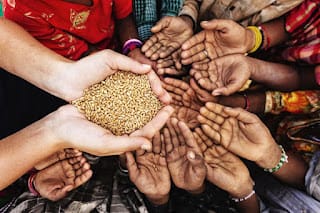 El hambre aumentará en Haití y otros países en los próximos meses 5