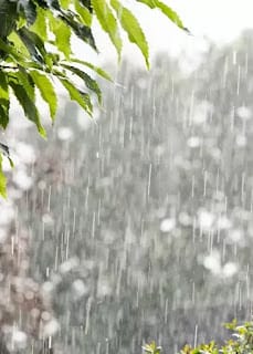 Algunos aguaceros sobre el litoral caribeño; siguen vigentes avisos y alertas 5