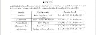 Gobierno emite decreto que prohíbe por dos años la pesca del pez loro y otras especies 7 Gobierno emite decreto que prohíbe por dos años la pesca del pez loro y otras especies