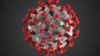 La OMS pide a los países que mantengan la vigilancia del virus de la covid-19 5