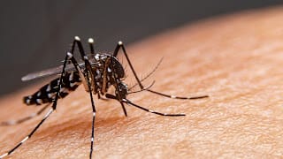 La atención y cuidado médico adecuado reducen la mortalidad por dengue 7 La atención y cuidado médico adecuado reducen la mortalidad por dengue