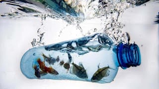 No bastará solo con el reciclaje de plásticos, advierte jefa de ONU-Medioambiente 6 No bastará solo con el reciclaje de plásticos, advierte jefa de ONU-Medioambiente