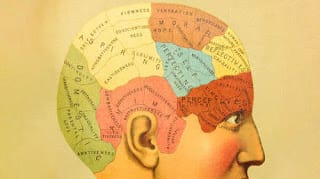 Crean el mapa más detallado del cerebro humano 5