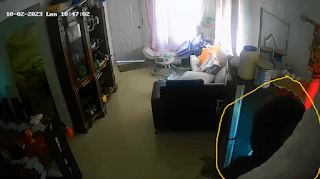 VIDEO: Ladrones al acecho, roban a plena luz del día en barrio de San Juan 5