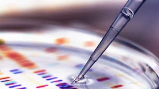 Desarrollan una novedosa terapia genética que podría ayudar a tratar el autismo 5
