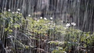 Sistema frontal provocará aguaceros en la tarde; provincias en alerta 5