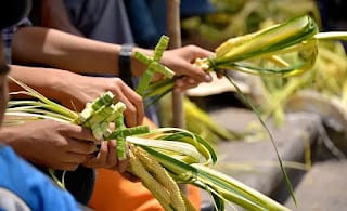Domingo de Ramos: inicio de de la Semana Santa 5