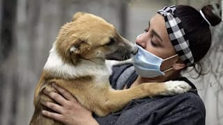 Los humanos transmiten más virus a los animales que al contrario, según estudio 7 Los humanos transmiten más virus a los animales que al contrario, según estudio