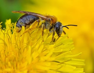 Descubren más animales que tienen conciencia: ¿qué implica eso? 8 Descubren más animales que tienen conciencia: ¿qué implica eso?
