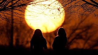 El impacto económico del cambio climático será de 38 billones de dólares al año para 2049: estudio 4 El impacto económico del cambio climático será de 38 billones de dólares al año para 2049: estudio