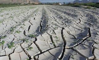 Cómo el cambio climático está aumentando el riesgo de otra pandemia