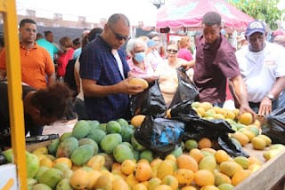 Feria del Mango 2024 culmina con éxito