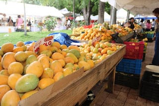 Feria del Mango 2024 culmina con éxito