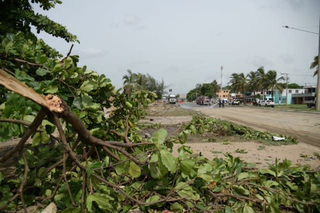 Reporte del COE: 89 desplazados, 57 acueductos fuera de servicio y otros daños por Beryl