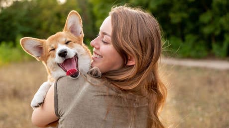 Estudio: Los dueños de perros son más resilientes y menos neuróticos que los de gatos