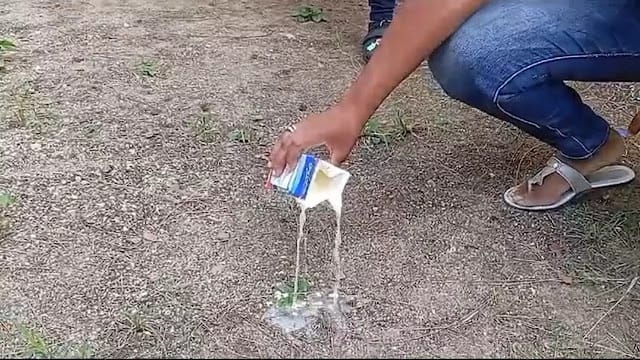 Se intoxican varios niños con leche del desayuno escolar en Santiago